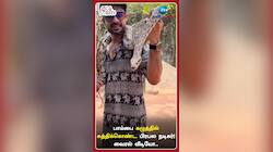 பாம்பை கழுத்தில் சுத்திக்கொண்ட பிரபல நடிகர்! வைரல் வீடியோ..