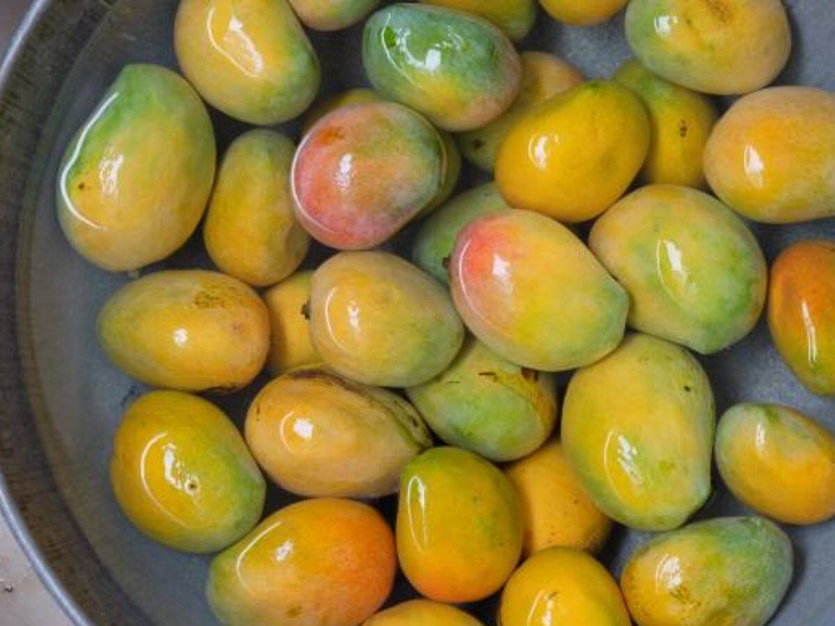 Reasons Why You Should Soak Mangoes In Water Before Eating Read Health ...