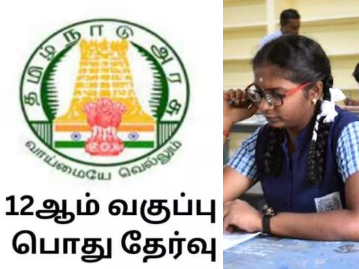12ஆம் வகுப்பு ரிசல்ட்... எந்த மாவட்டம் டாப், எந்த மாவட்டம் கடைசி...? கெத்து காட்டும் அரசு பள்ளிகள் 12ஆம் வகுப்பு ரிசல்ட்... எந்த மாவட்டம் டாப், எந்த மாவட்டம் கடைசி...? கெத்து காட்டும் அரசு பள்ளிகள்