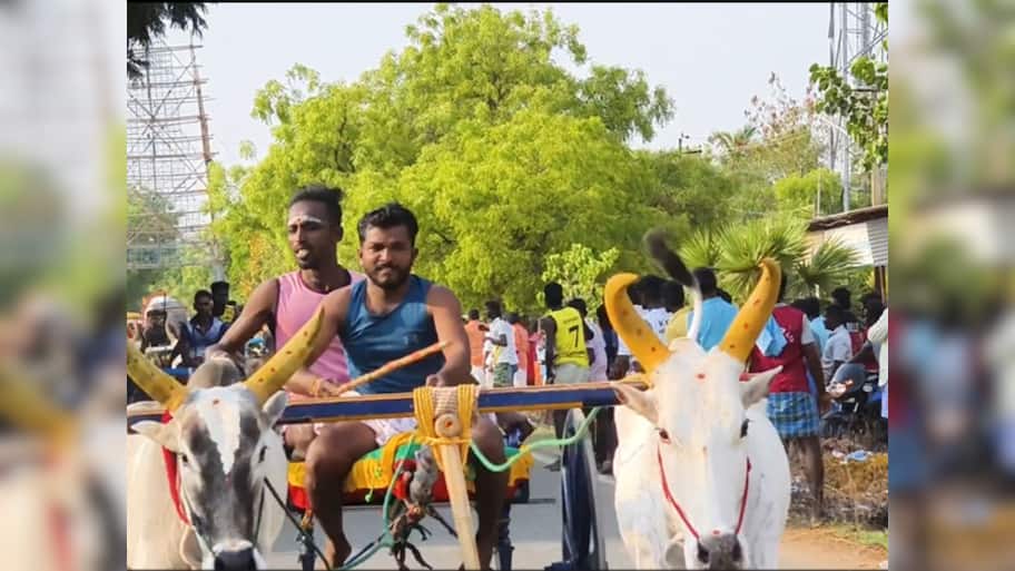 ஓட்டப்பிடாரம் அருகே கோவில் கொடை திருவிழா: சீறிப்பாய்ந்த காளைகள், பார்த்து ரசித்த மக்கள்