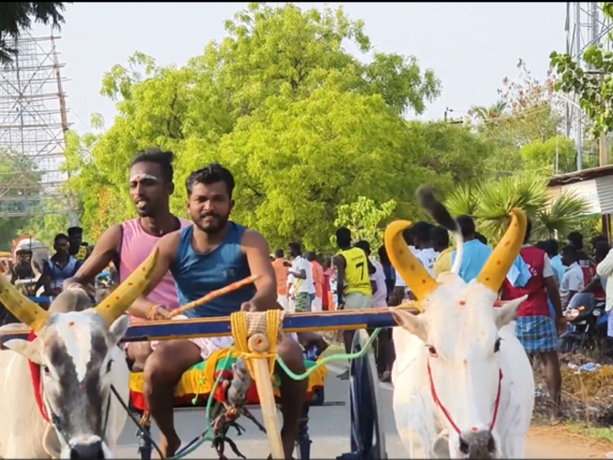 ஓட்டப்பிடாரம் அருகே கோவில் கொடை திருவிழா: சீறிப்பாய்ந்த காளைகள், பார்த்து ரசித்த மக்கள் ஓட்டப்பிடாரம் அருகே கோவில் கொடை திருவிழா: சீறிப்பாய்ந்த காளைகள், பார்த்து ரசித்த மக்கள்