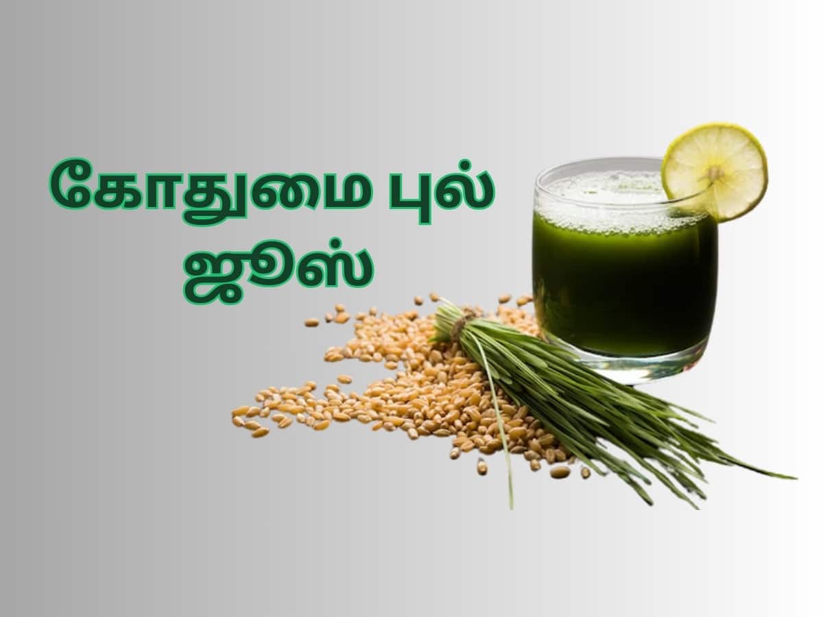 Wheatgrass Juice will be a Best Medicine for Uric Acid யூரிக்
