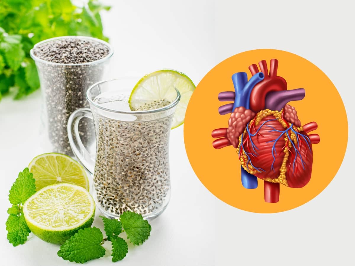 Heart Health Tips How to take chia seeds to control High cholesterol இதய தமனிகளில் சேரும்
