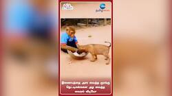 இணையத்தை அசர வைத்த குரங்கு: நெட்டிசன்களை அழ வைத்த வைரல் வீடியோ