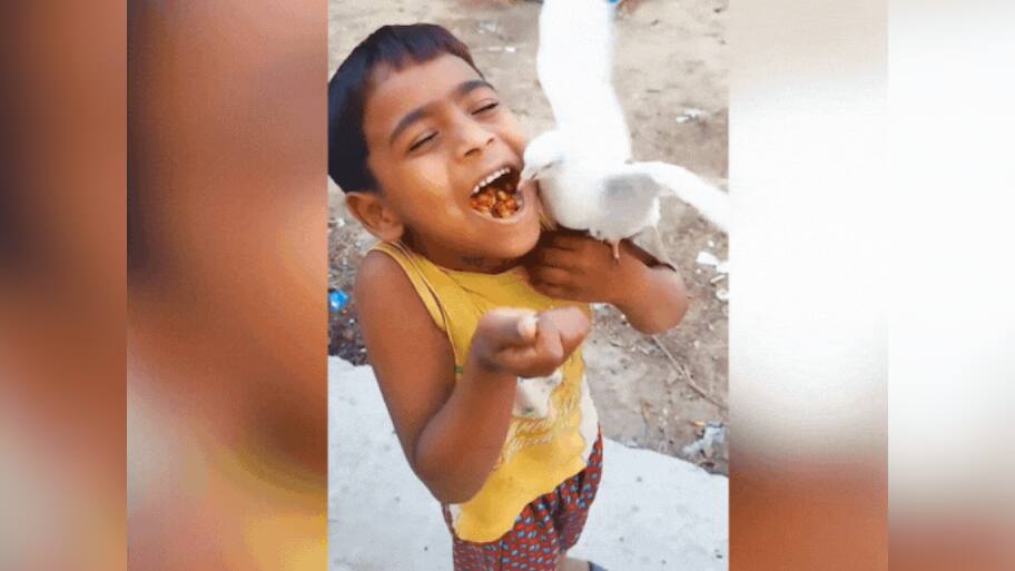 Viral Video: பாசக்கார பய போலிருக்கு.... புறாவுக்காக வாயை கொடுத்த ‘பாரி’ வள்ளல்...!!