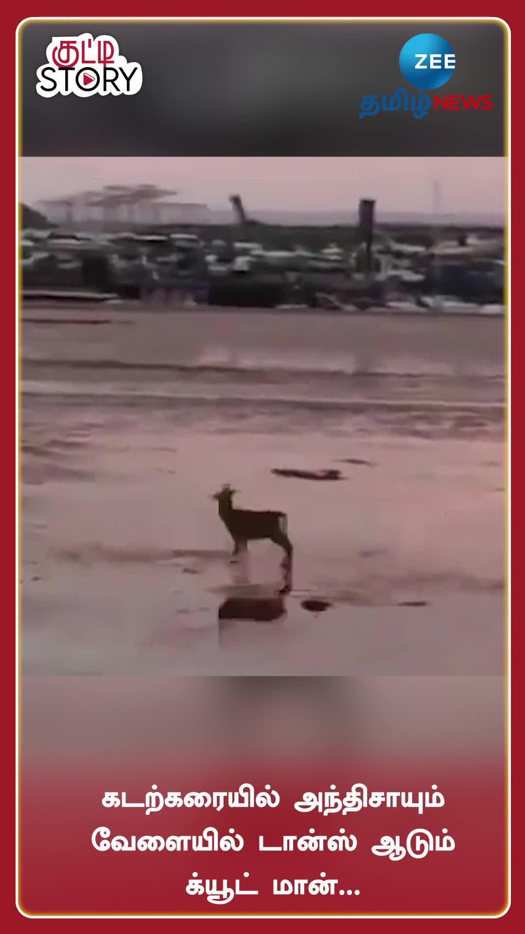 Video Thumbnail