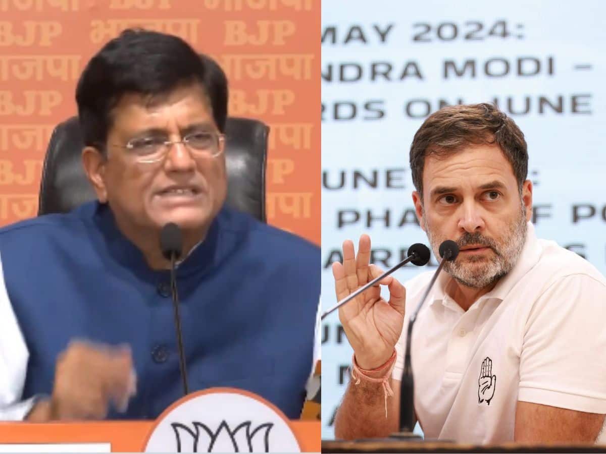 ஜூன் 4 பங்குச்சந்தை வீழ்ந்த நாளிலும் இந்திய முதலீட்டாளர்களுக்கு லாபம் தான்! பியூஷ் கோயல் பதிலடி!