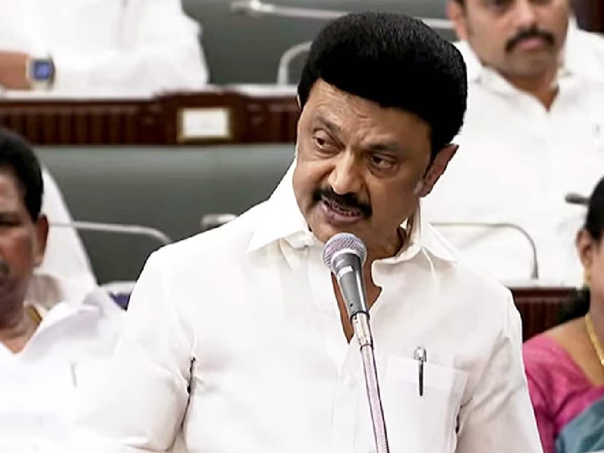 Caste Based Census Resolution Passed In Tamil Nadu Assembly MK Stalin ...