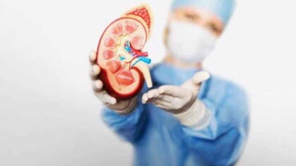 what-are-the-symptoms-of-kidney-problem-in-urine