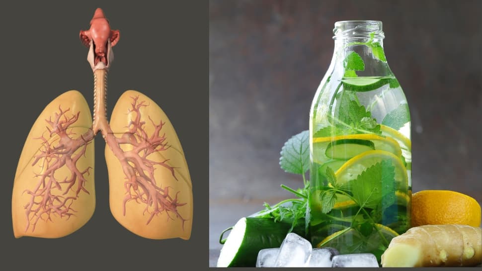 நுரையீரலில் சேரும் நச்சுக்களை நீக்கும் சூப்பர் பானம்... தயாரிப்பது எப்படி..!