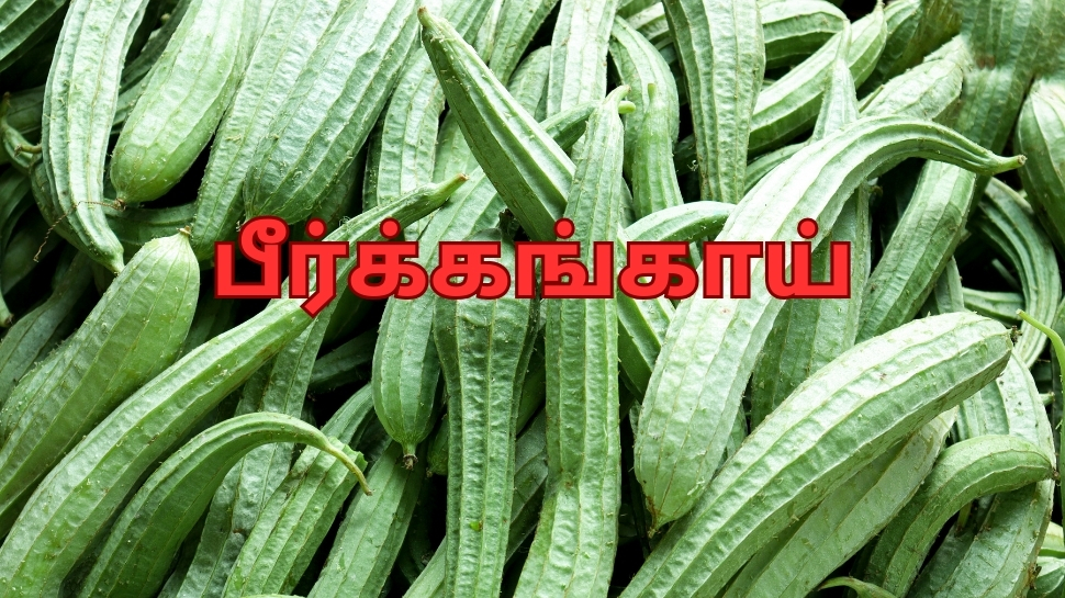 விந்து சக்தியை அதிகரிப்பது முதல் கண் பார்வை கூர்மை வரை... உயிர் சத்துக்கள் நிறைந்த பீர்க்கங்காய் உதவும் விந்து சக்தியை அதிகரிப்பது முதல் கண் பார்வை கூர்மை வரை... உயிர் சத்துக்கள் நிறைந்த பீர்க்கங்காய் உதவும்