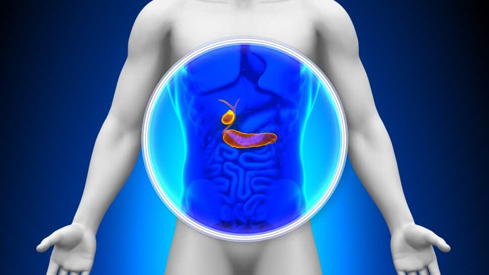Pancreas Health: டயட்டில் ‘இவற்றை’ சேருங்கள்... உங்கள் கணையம் தாங்க்யூ சொல்லும்..!!