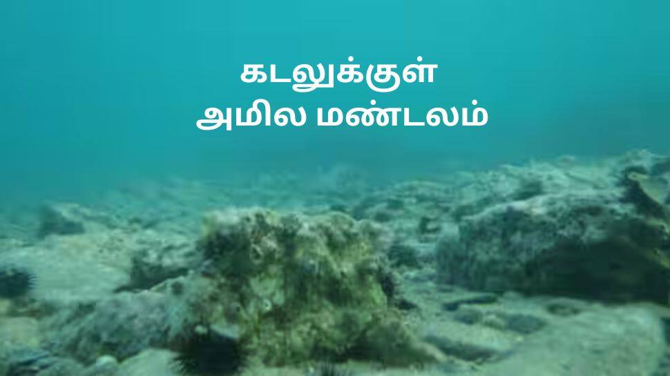 கடலுக்குள் மர்ம அமில மண்டலம்! அமிலம் உருவாவதால் நாடுகள் பாதிக்கப்படுமா? காரணம் என்ன?