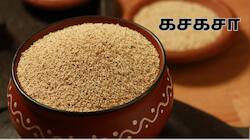 நரம்பு தளர்ச்சி முதல் இதய நோய் வரை... அற்புதங்கள் செய்யும் சின்னஞ்சிறு கசகசா..