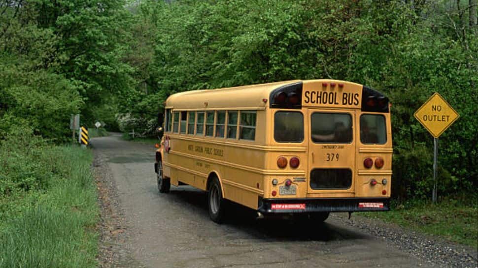 Why Are School Buses Yellow? Surprising Scientific Reasons Revealed