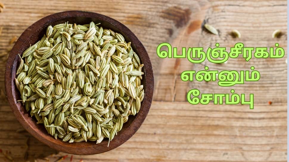 Health Benefits of Eating fennel seeds Daily | டீடாக்ஸ் முதல் வெயிட் ...