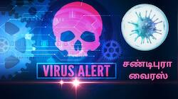 இந்தியாவில் குரங்கு அம்மை வைரஸை தொடர்ந்து... சண்டிபுரா வைரஸ் தாக்குதல்...