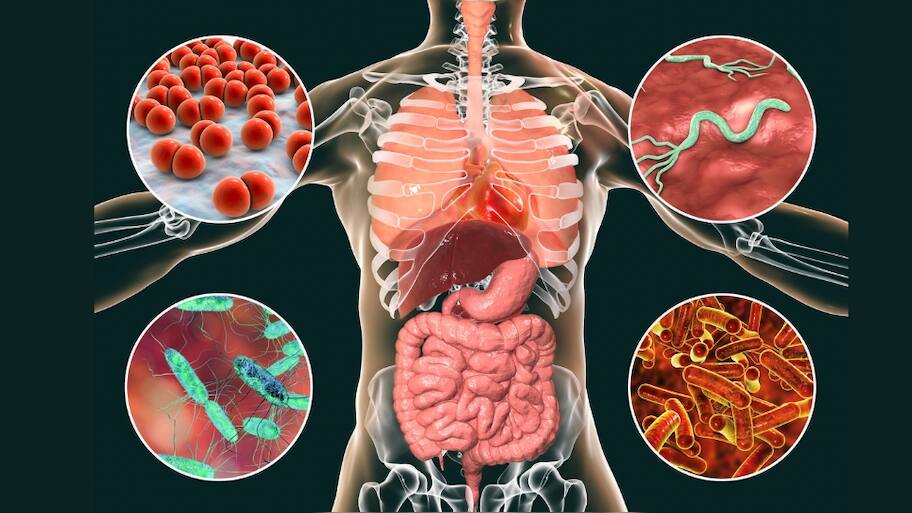 Symptoms Of High Level Toxins in the Body and Natural Homemade Detox ...