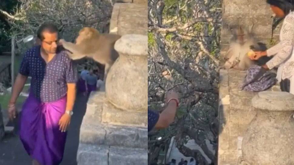 படிக்கட்டில் ஏறிய நபரிடம் வம்பிழுத்த குரங்கு, அப்புறம் என்னாச்சி: வீடியோ வைரல்