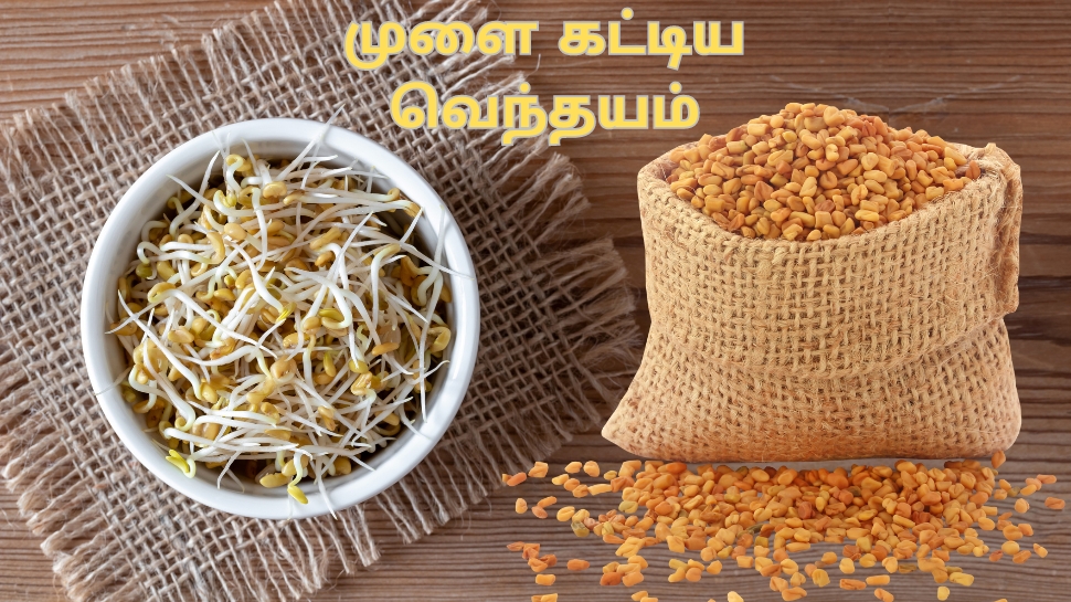 வெயிட் லாஸ் முதல் சுகர் லெவல் வரை... முளை கட்டிய வெந்தயம் கட்டாயம் டயட்டில் இருக்கட்டும் வெயிட் லாஸ் முதல் சுகர் லெவல் வரை... முளை கட்டிய வெந்தயம் கட்டாயம் டயட்டில் இருக்கட்டும்