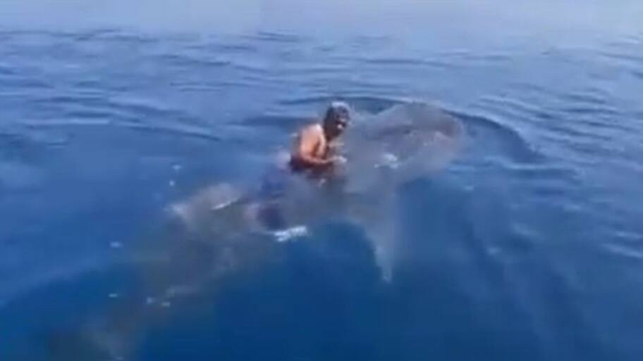 Viral Video Shows Man Riding a Shark: Dangerous Stunt Leaves Viewers ...