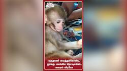 மருதாணி வைத்துக்கொண்ட குரங்கு: மயங்கிய நெட்டிசன்ஸ்.. வைரல் வீடியோ