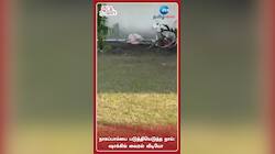நாகப்பாம்பை படுத்தியெடுத்த நாய்: ஷாக்கிங் வைரல் வீடியோ