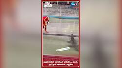 Viral Video: முதலையிடம் சாகசம்... கண்ணிமைக்கும் நேரத்தில் நடந்த ஷாக் சம்பவம்
