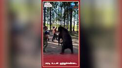 கரடியுடன் மல்லுக்கட்டு... இது விளையாட்டா? விபரீதமா? - விமர்சனத்திற்கு உள்ளாகும் வைரல் வீடியோ