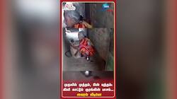 முதலில் முத்தம், பின் யுத்தம்: கிலி காட்டும் குரங்கின் பாசம்... வைரல் வீடியோ