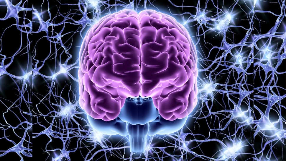 நரம்பு மண்டலம் - எலும்புகளை பாதிக்கும் மெக்னீசியம் குறைபாடு... அறிகுறிகளும்... சாப்பிட வேண்டிய உணவுகளும்