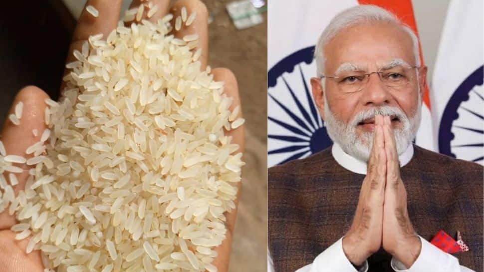 Fortified rice in ration shops under PMGKAY in India for anemia ...