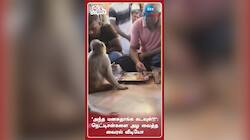 'அந்த மனசுதாங்க கடவுள்!!': நெட்டிசன்களை அழ வைத்த வைரல் வீடியோ