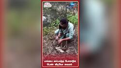 பாம்பை காப்பாற்ற போராடும் பெண் வீடியோ வைரல்