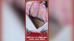 நடுவீட்டில் படம் எடுத்து ஆடிய பாம்பின் வைரல் வீடியோ
