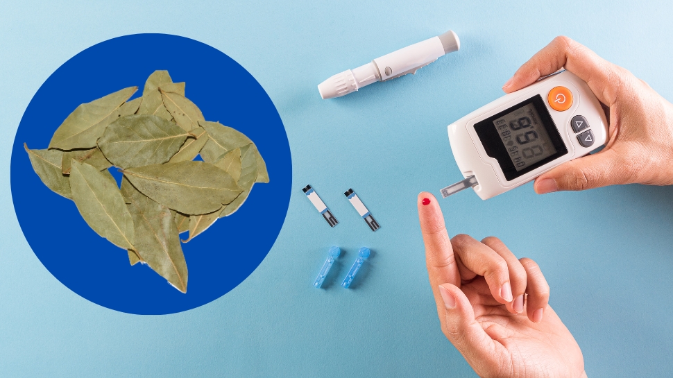 Diabetes Diet: நீரிழிவு நோயை நிர்மூலமாக்கும் பிரியாணி இலை.... பயன்படுத்தும் சரியான முறை இதோ Diabetes Diet: நீரிழிவு நோயை நிர்மூலமாக்கும் பிரியாணி இலை.... பயன்படுத்தும் சரியான முறை இதோ
