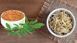 சுகர் லெவல் முதல் வெயிட் லாஸ் வரை...  முளை கட்டிய வெந்தயத்தை அடிக்கடி சாப்பிடுங்க