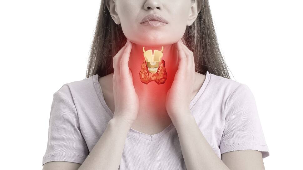 தைராய்டு பிரச்சனை இருக்கா..... நீங்கள் சாப்பிட வேண்டியதும்... சாப்பிடக் கூடாததும்