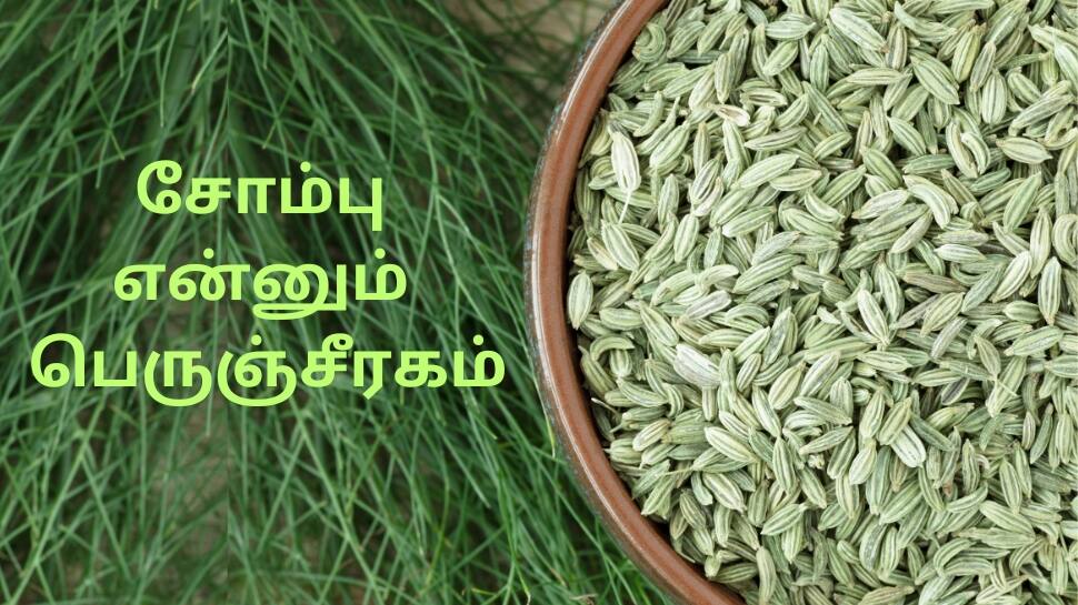 Numerous Benefits Of Taking Fennel Seeds or Perunjeeragam After Meal ...