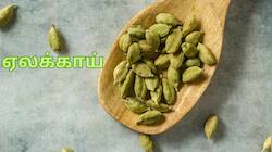 தினம் இரண்டு ஏலக்காய் போதும்... பல நோய்கள் தலை தெறித்து ஓடும்