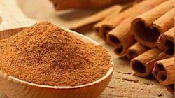 தினமும் ஒரு சிட்டிகை இலவங்கப்பட்டை பொடியை நீரில் கலந்து குடிப்பதால் கிடைக்கும் ஆரோக்கிய நன்மைகள்