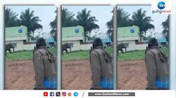 ஒற்றை யானையிடம் உயிர் தப்பிய சிறுவன் 