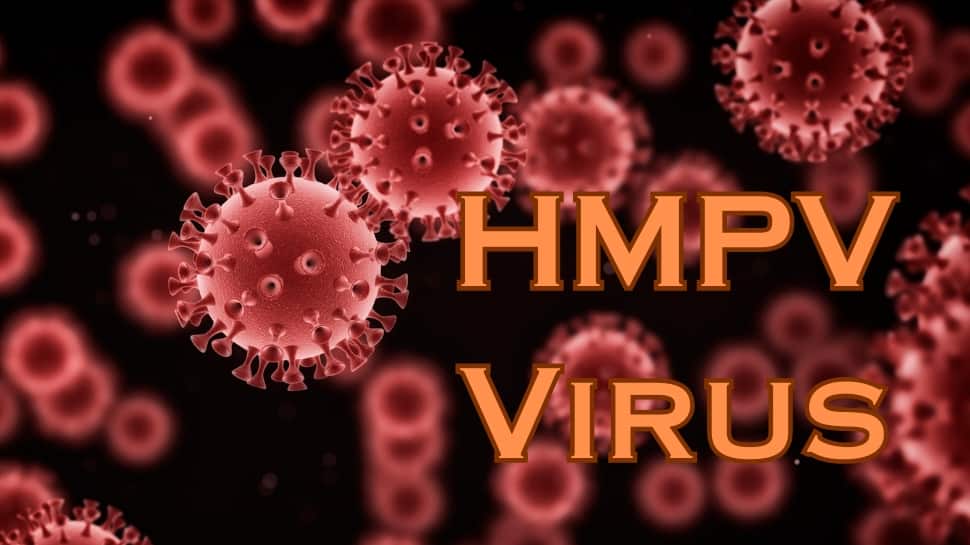 சீனாவில் வேகமாக பரவும் புதிய HMPV வைரஸ்.... அதிர்ச்சியில்  உலக நாடுகள்