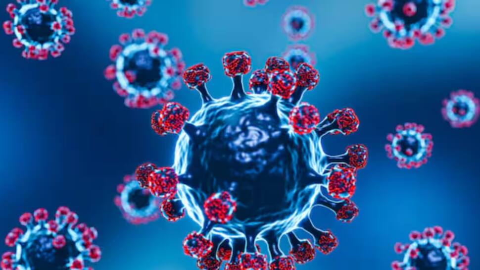 சீனாவை மிரட்டும் HMPV வைரஸ்... இந்தியாவில் 2 குழந்தைகளுக்கு பாதிப்பு... அறிகுறிகள் என்ன? தடுப்பது எப்படி?