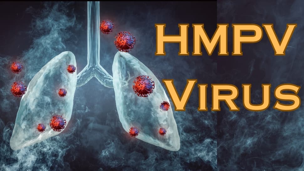 Hmpv Rime Rash HMPV Virus: Important Information About Symptoms Treatment Prevention ...