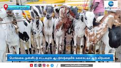 எட்டயபுரத்தில் களைகட்டிய ஆடு விற்பனை