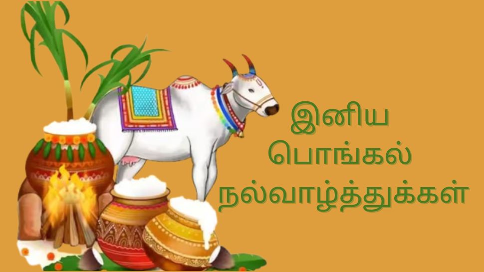 Pongal 2025: தைப்பொங்கல் திருநாள்.. மகிழ்ச்சியும் செழுமையும் பொங்கும் பெருநாள் Pongal 2025: தைப்பொங்கல் திருநாள்.. மகிழ்ச்சியும் செழுமையும் பொங்கும் பெருநாள்