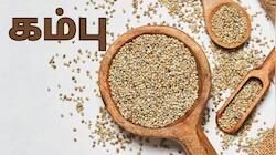 நரம்பு மண்டலம் முதல் எலும்புகள் வரை... சூப்பர் சிறுதானியம் கம்பு கட்டாயம் தேவை