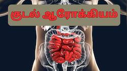 குடலை பாதுகாக்கும் நல்ல பாக்டீரியா அதிகரிக்க.. சாப்பிட வேண்டிய சில உணவுகள்
