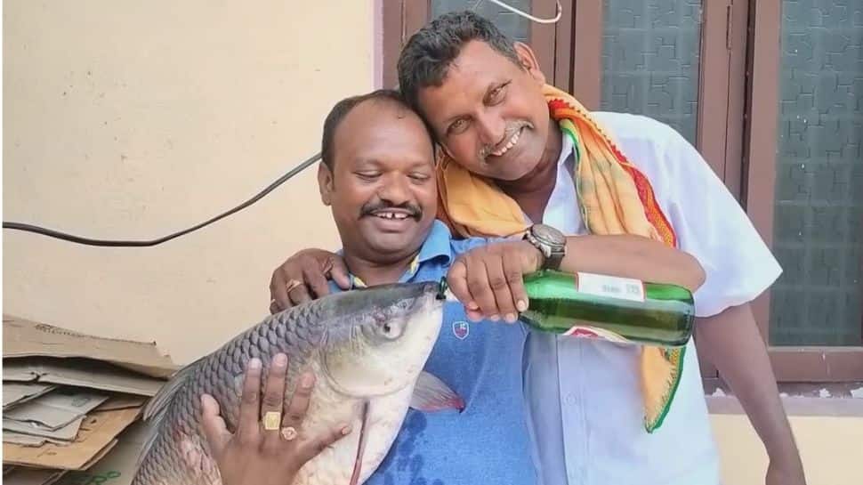 மீன் பீர் குடிக்கும் வீடியோ! ஆச்சரியத்தில் நெட்டிசன்கள்..வைரலாகும் வீடியோ